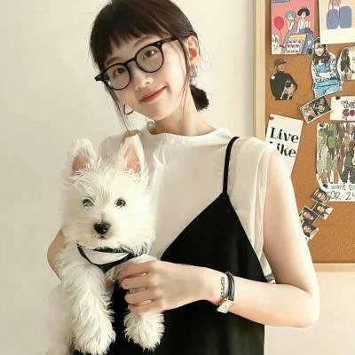 马克斯与拾荒者 海报